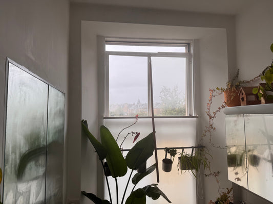 Reduce Condensation with Secondary Glazing